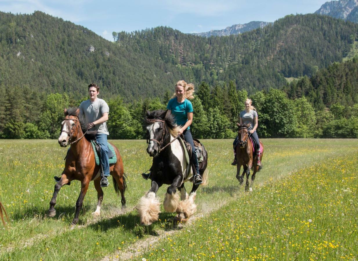 Вилла Reiterbauernhof Maho Sankt Aegyd am Neuwalde Экстерьер фото